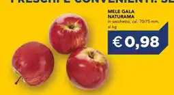 Esselunga MELE GALA NATURAMA offerta