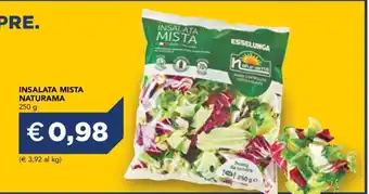 Esselunga INSALATA MISTA NATURAMA offerta