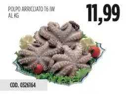 Carico Cash & Carry POLPO ARRICCIATO T6 IW offerta