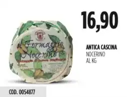 Carico Cash & Carry Antica cascina nocerino offerta