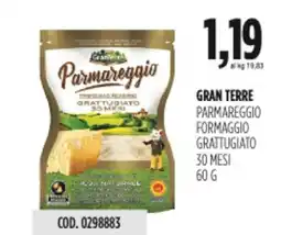 Carico Cash & Carry Gran terre parmareggio formaggio grattugiato 30 mesi offerta