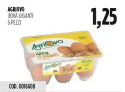 Carico Cash & Carry Agriovo uova giganti 6 pezzi offerta