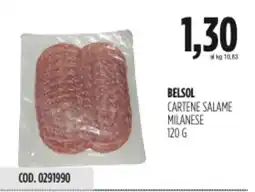Carico Cash & Carry Belsol cartene salame milanese offerta
