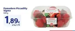 Sigma Pomodoro Piccadilly Sigma offerta