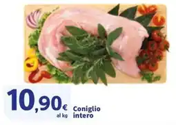 Sigma Coniglio intero offerta