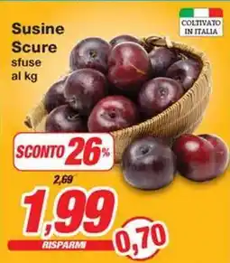 Prix Quality Susine Scure offerta