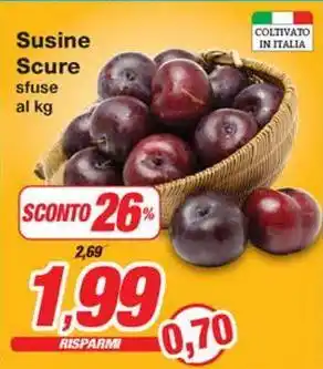Prix Quality Susine Scure offerta
