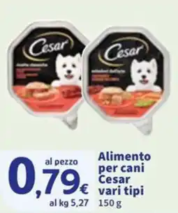 Sigma Alimento per cani Cesar offerta