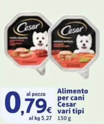 Sigma Alimento per cani Cesar offerta
