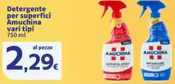 Sigma Detergente per superfici Amuchina offerta