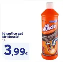 Sigma Idraulico gel Mr Muscle offerta