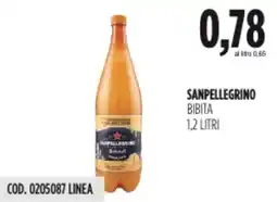 Carico Cash & Carry Sanpellegrino bibita offerta