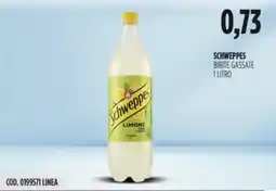 Carico Cash & Carry Schweppes bibite gassate offerta