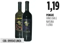 Carico Cash & Carry Pengue vino uva e natura offerta