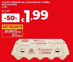 Bennet 10 uova fresche da allevamento a terra ovo mattino offerta