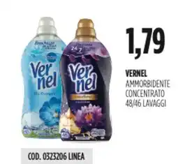 Carico Cash & Carry Vernel ammorbidente concentrato offerta