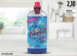 Carico Cash & Carry Fabuloso ammorbidente offerta
