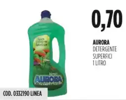 Carico Cash & Carry Aurora detergente superfici offerta