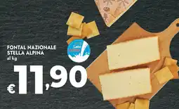 Bennet Fontal nazionale stella alpina offerta