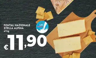 Bennet Fontal nazionale stella alpina offerta