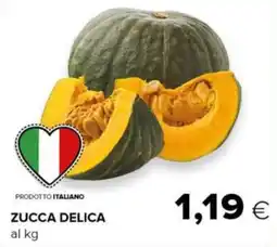 Tigre Zucca delica offerta