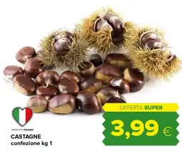Tigre Castagne offerta