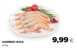 Tigre Gambero rosa offerta