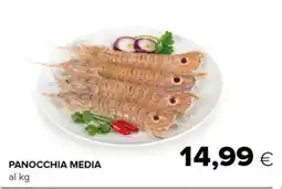 Tigre Panocchia media offerta