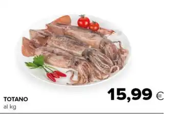 Tigre Totano offerta