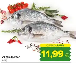 Tigre Orata 400/600 offerta