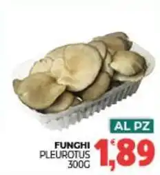 Eté Funghi pleurotus offerta