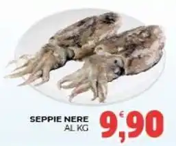 Eté Seppie nere offerta