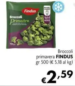 Maxi Supermercati Broccoli primavera FINDUS offerta