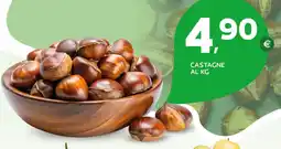 Extra Supermercati Castagne offerta