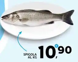 Extra Supermercati Spigola offerta