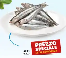 Extra Supermercati Alici offerta