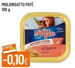 Galassia Migliorgatto paté offerta