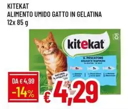 Galassia Kitekat alimento umido gatto in gelatina offerta