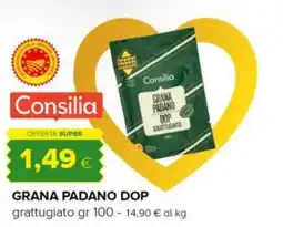 Tigre Consilia grana padano dop grattugiato offerta