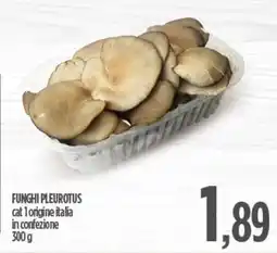 Ciro Amodio Funghi pleurotus offerta