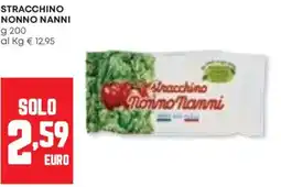Panorama Stracchino NONNO NANNI offerta