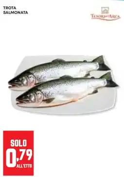 Panorama Trota salmonata offerta