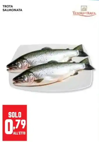 Panorama Trota salmonata offerta