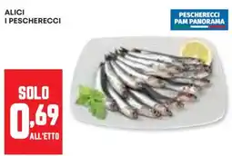 Panorama Alici i pescherecci offerta