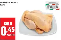 Panorama Gallina a busto PAM offerta
