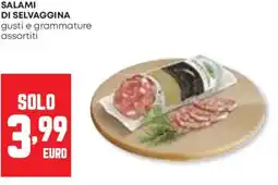 Panorama Salami di selvaggina offerta