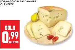 Panorama Formaggio maasdammer olandese offerta