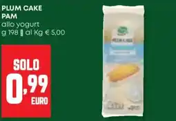 Panorama Plum cake PAM offerta