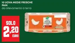 Panorama 10 uova medie fresche PAM offerta