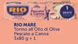 Conad Rio mare tonno all'olio di oliva pescato a canna offerta